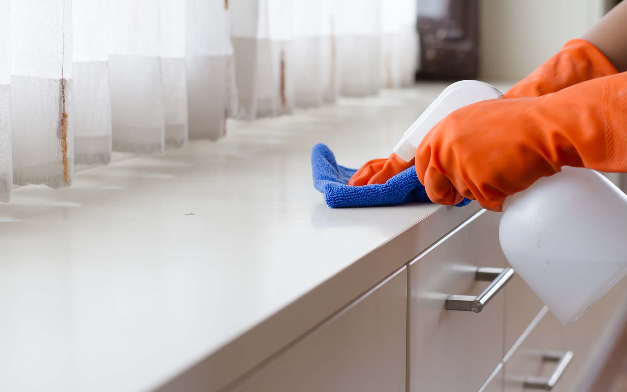 How Often Should You Clean Your House? The Purple Maids