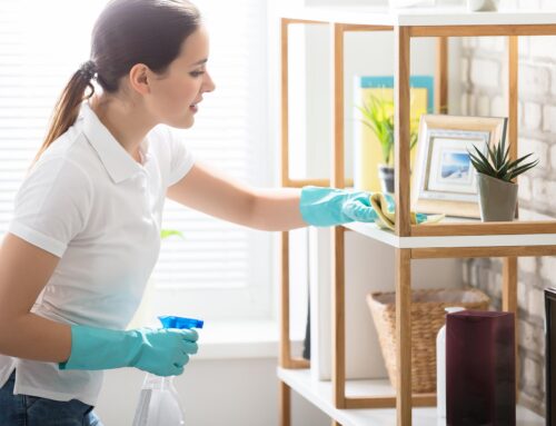 Handy House Cleaning Tips for Busy Homeowners