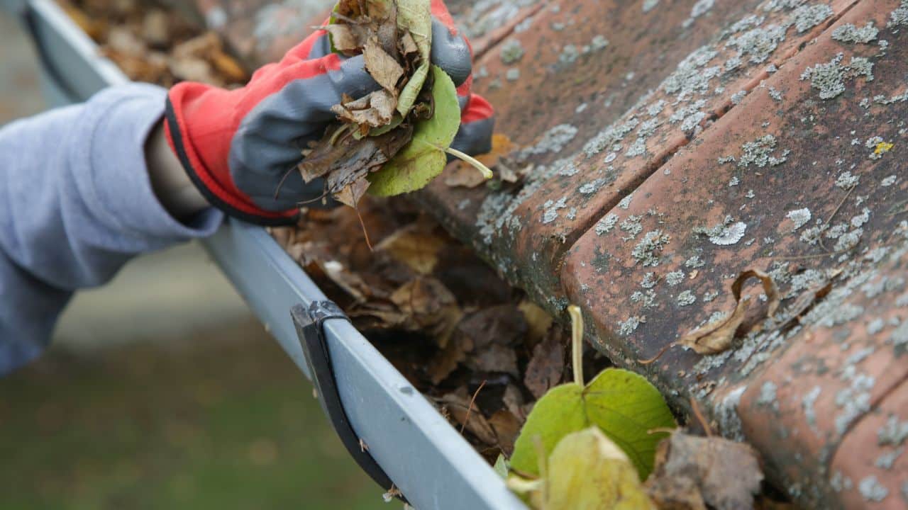 Real Cost DIY Cleaning: Hidden Costs Explained
