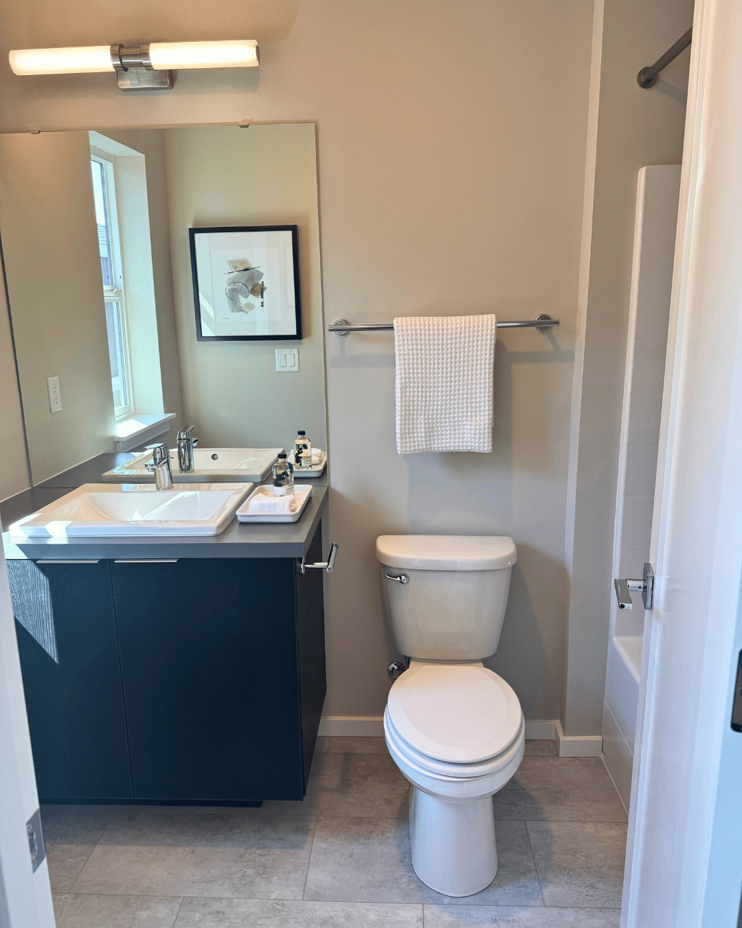 thepurplemaids-toilet-deep-cleaning-wa