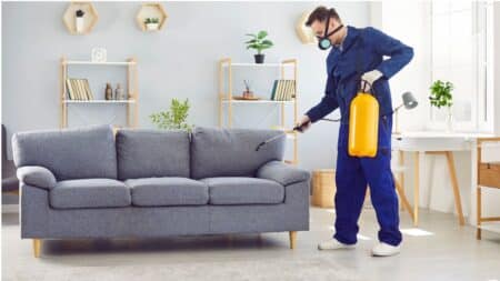 simple trick to eliminate dust in your house