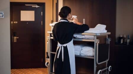 Recurring Maid Service in Sammamish