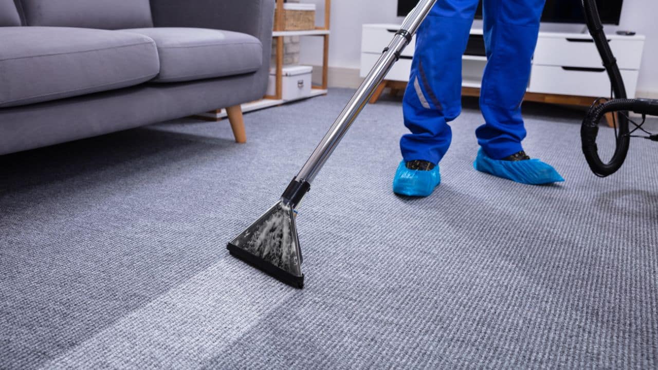 cleaning area rugs service