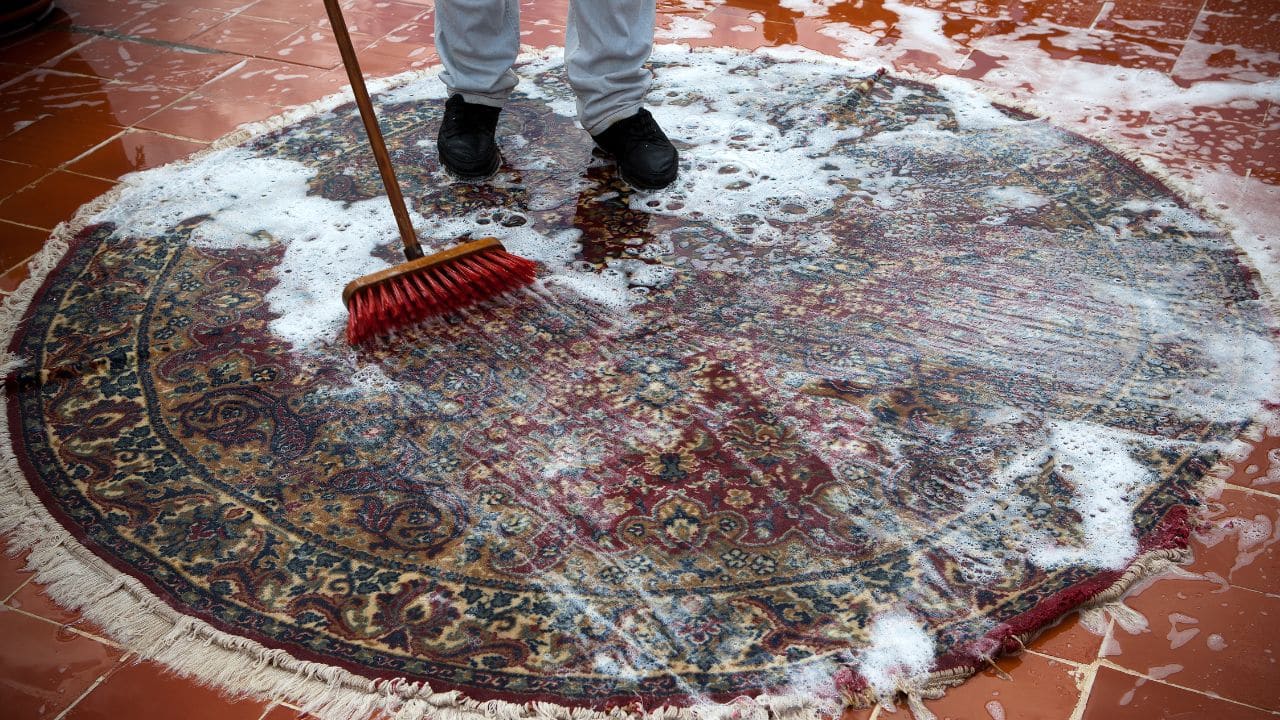Magnolia cleaning area rugs service