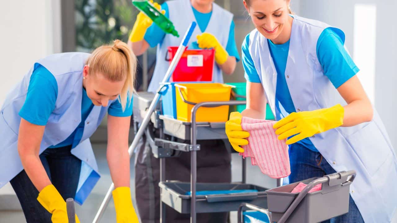 house cleaners clean