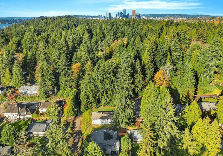 Bellevue skyline